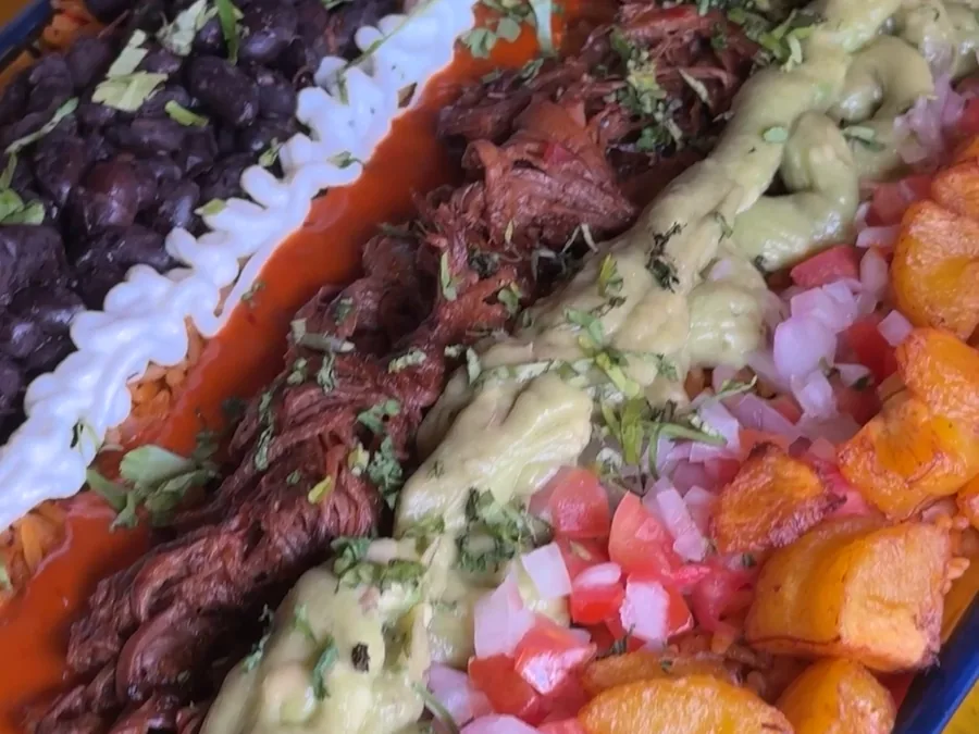 Bowl de birria con arroz, frijol negro, guacamole y plátano frito, de cerca